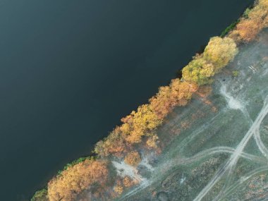 Ekim 'de nehir kıyısında sarı ve turuncu yapraklı çalılıklar ve koyu yeşil su