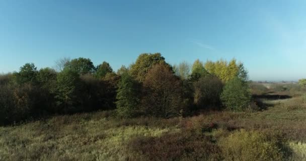 晴れた秋の朝の牧草地の空中ビデオ — ストック動画