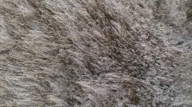 Kurumuş çimlerin havadan görünüşü