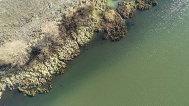 Nehrin yeşil çimenli havadan görünüşü ve kurumuş çimen ve yapraksız ağaçlarla dolu kıyısı.
