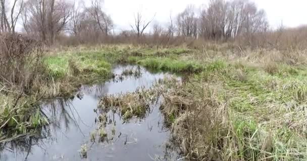 Flug Über Einen Kleinen Fluss Sumpf Einem Herbsttag — Stockvideo