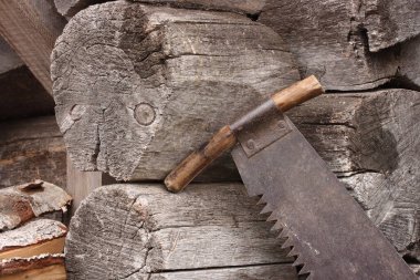 Huş ağacının arka planında iki el testere var.