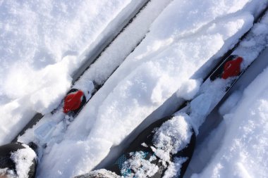 Adjustable ski carrier against white snow