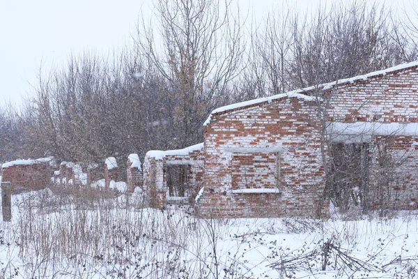 Snow Wooded Ruined Red Brick Building — Foto Stock