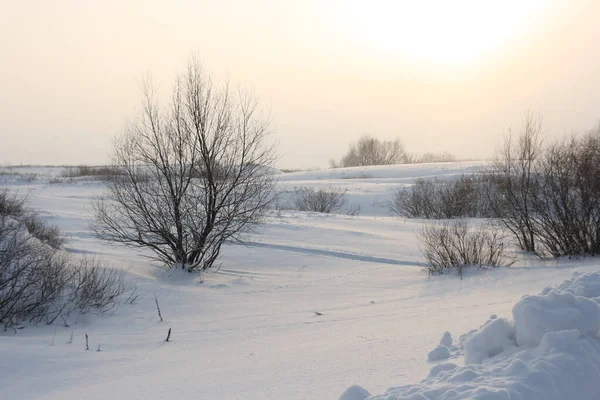 Snow Meadows Sunset — Stock Photo, Image