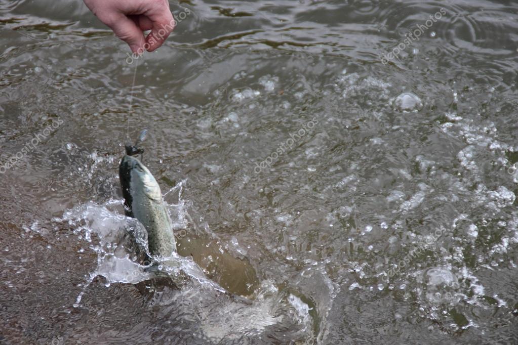 Fish and Hook — Stock Photo © Stellmach72 25877243