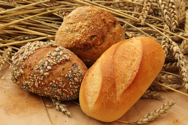 Brot und Brascar tchen Immagine Stock