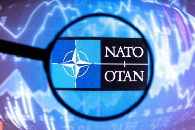 Mart 01, 2022, Brezilya. Bu resimde, bir büyüteçle bilgisayar ekranında görüntülenen Kuzey Atlantik Antlaşma Örgütü (NATO) logosu