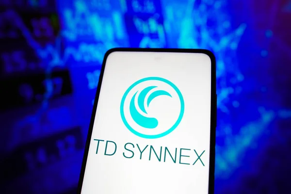 2022 브라질 Synnex 코퍼레이션 스마트폰에 표시된 — 스톡 사진