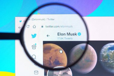 22 Mayıs 2022, Brezilya. Bu resimde Elon Musk resmi Twitter profili bir büyüteçle bilgisayar ekranında görülüyor