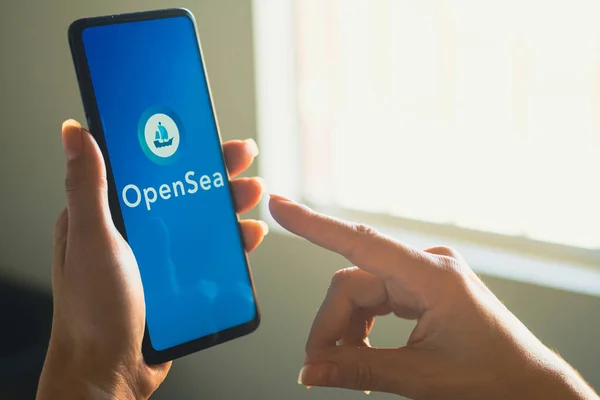 2022 브라질 사진에서 스마트폰을 있습니다 Opensea 로고가 화면에 표시되어 — 스톡 사진
