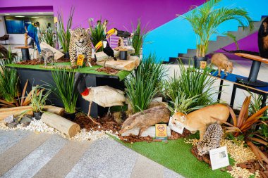 10 Eylül 2022, Brezilya. Bioparque Pantanal 'ın (Pantanal Akvaryumu) Campo Grande, Mato Grosso do Sul' daki iç görüntüsü. Dünyadaki en büyük tatlı su kompleksi olup 32 gölet ve 220 balık türüdür.