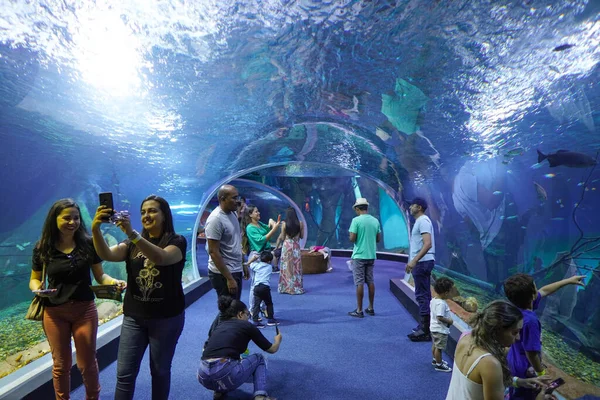 September 2022 Brazilië Bezoekers Observeren Een Van Aquaria Bioparque Pantanal — Stockfoto