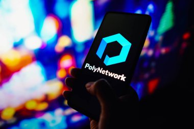 20 Eylül 2022, Brezilya. Bu fotoğraf illüstrasyonunda, Poly Network logosu bir akıllı telefonda görüntülenir