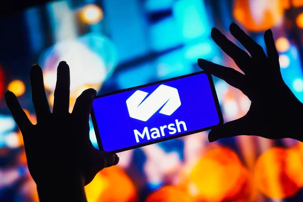 Října 2022 Brazílie Této Fotografii Logo Marsh Zobrazeno Chytrém Telefonu — Stock fotografie