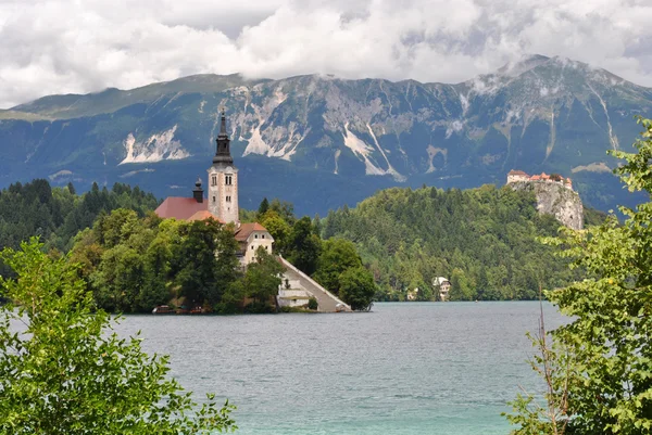 stock image Assumtpion Church, Bled, Slovenia