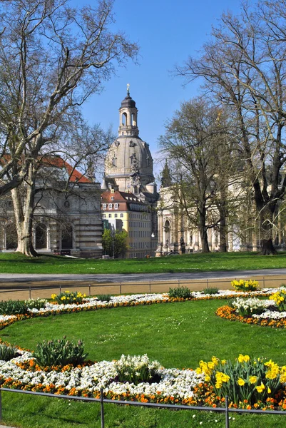 Dresden in spring — Stock Photo, Image
