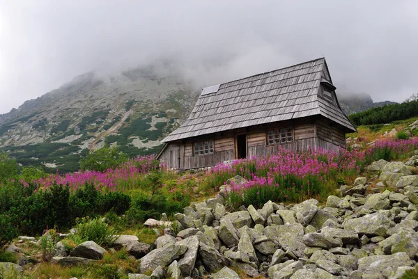 Mountain wooden hut Stock Picture