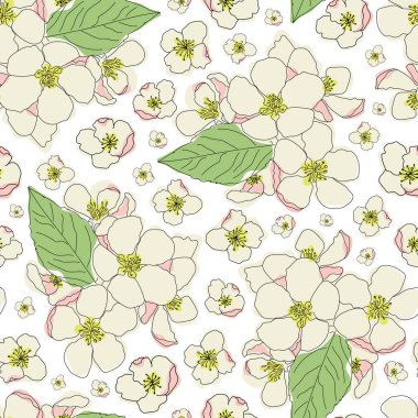 Vector white flower seamless repeat pattern background. Vector illustration
