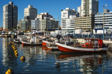 Punta del Este, Uruguay