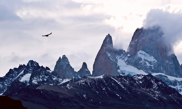 Mount fitz roy i argentina Patagonien — Stockfoto