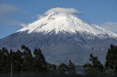 Cotopaxi Volcano, Andean Highlands of Ecuador clipart