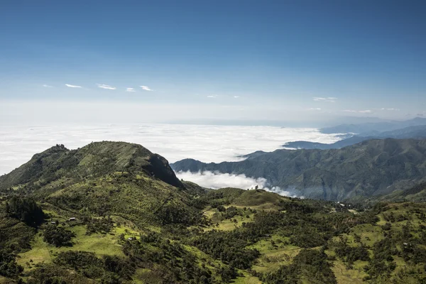 Cajas Nationalpark, Andenhochland, Ecuador — Stockfoto