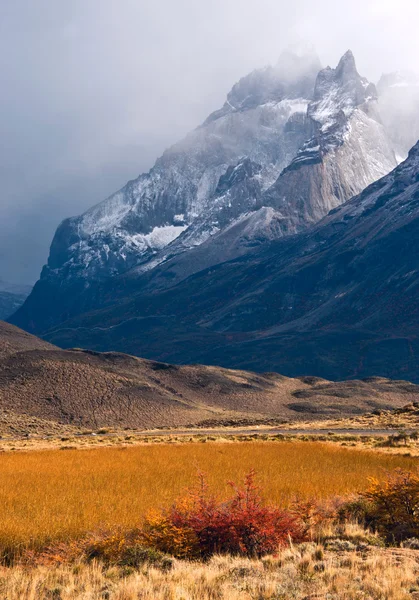 Patagonya sonbaharda. Torres del paine Millî Parkı Şili — Stok fotoğraf