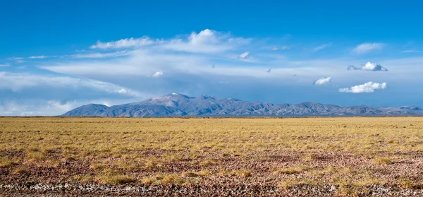북 서 아르헨티나-살 리 나 스 그란데스 사막 풍경 — 스톡 사진