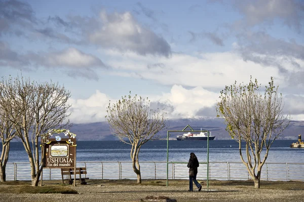 Visitare le navi Ushuaia Argentina — Foto Stock