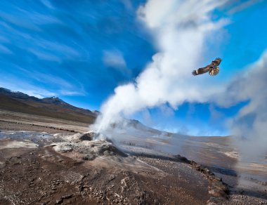 atacama Çölü'nde geysers Vadisi
