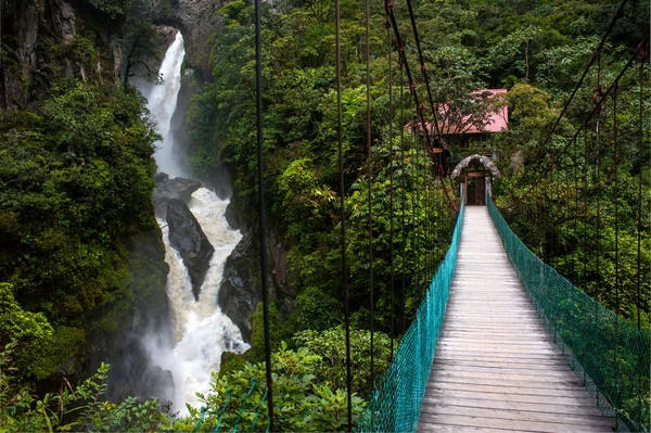 Río de montaña y cascada en los Andes —  Fotos de Stock