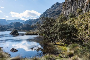 Cajas National Park, Andean Highlands, Ecuador