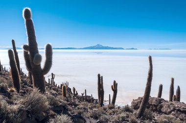 Isla de pescadores, Tuz Gölü uyuni Bolivya