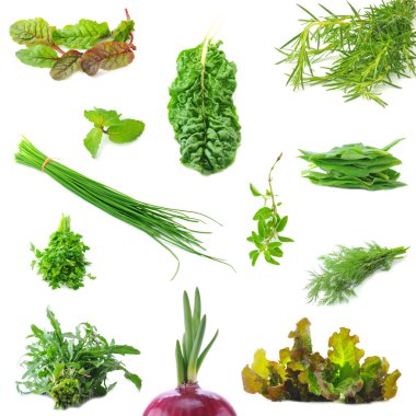 mix organik salata yaprakları ve salatası soğan yaylar