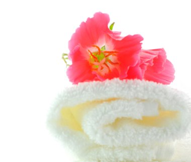 rulo havlu üzerinden haşhaş çiçeği