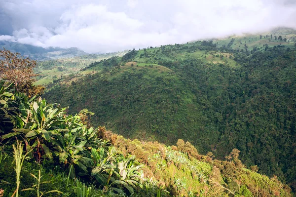 Ecuador, wie es ist: die Anden, der Himmel und die Bananen — Stockfoto