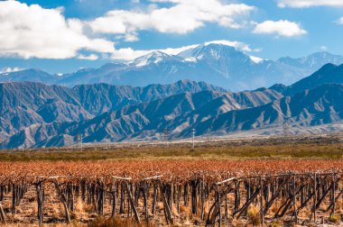 Volkan aconcagua ve üzüm bağı. mendoza Arjantin il