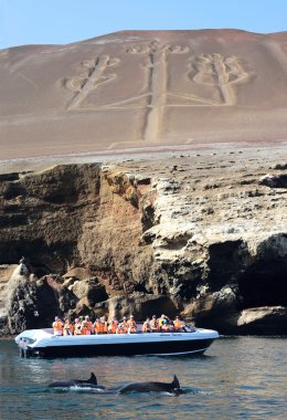 Pyres paracas Milli Park, peru