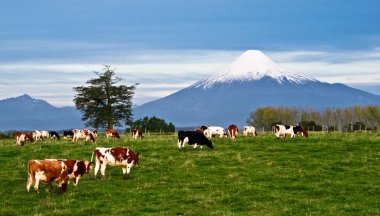 osorno yanardağ, Göl Bölgesi, Şili pastoral manzara