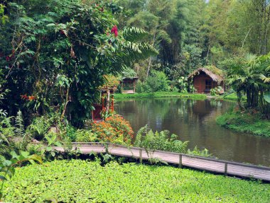 weinig huizen voor de vakantie voor een meer in mindo, ecuador