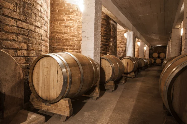 Barili di vino in Cantina del Malbec, provincia di Mendoza, Argentina — Foto Stock