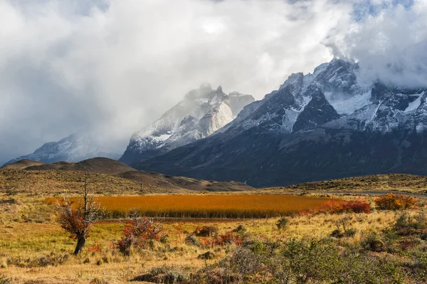 Otoño en Patagonia. El Parque Nacional Torres del Paine en el s — Foto de Stock