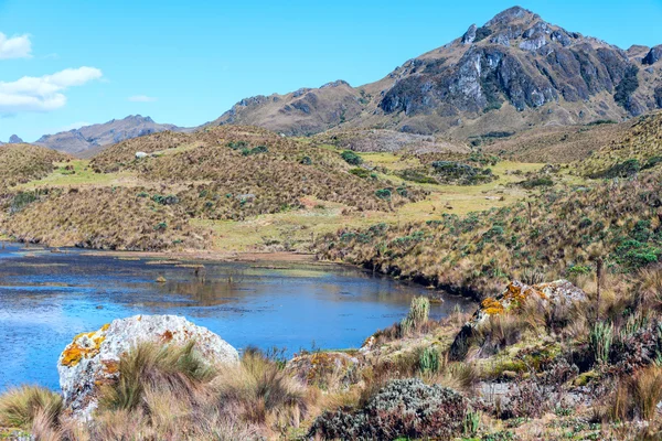 Andes. Parque Nacional de Cajas, Terras Altas Andinas, Equador — Fotografia de Stock