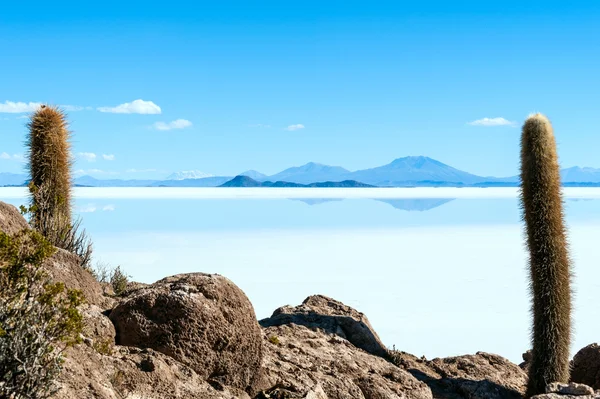 咸水湖-salar de 在玻利维亚的乌尤尼 — 图库照片