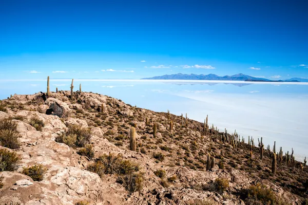 볼리비아에 salar de uyuni 소금 호수 — 스톡 사진