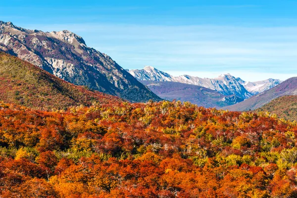 Herbstfarben Patagoniens, in der Nähe von Bariloche, Argentinien — Stockfoto