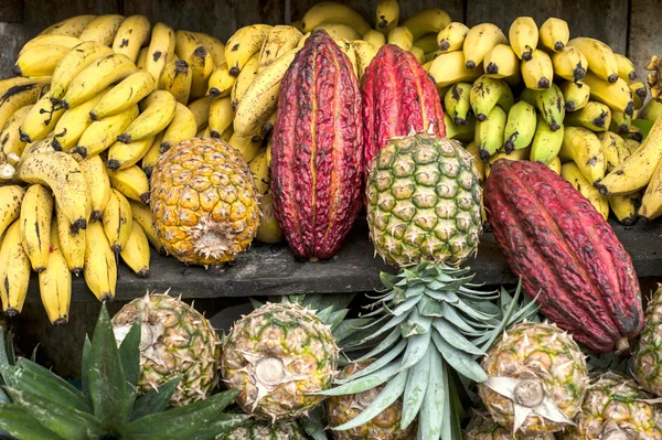 Cacau rodeado por outras frutas tropicais — Fotografia de Stock