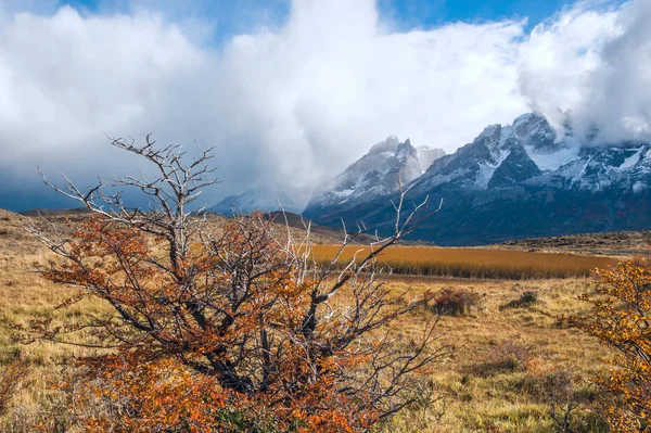 Herfst in Patagonië: Torres del Paine Nationaalpark — Stockfoto