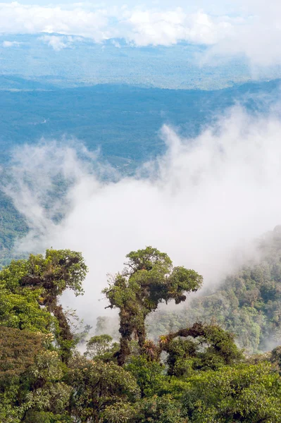 От Анд до Амазонки, Вид на тропические леса, Эквадор — стоковое фото